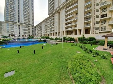 Linear Garden